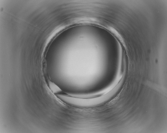 X0000060581384200511241330