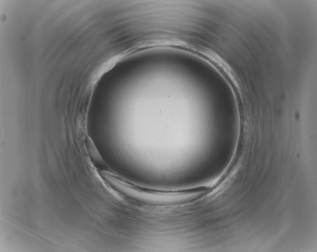 X0000060581385200511241330