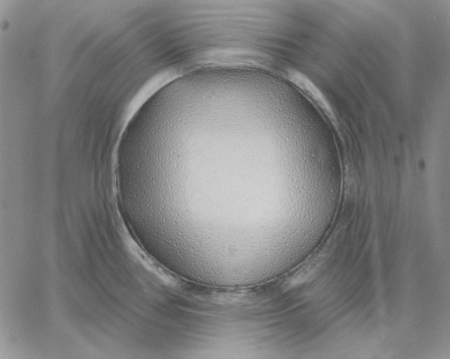 X0000060581386200511241330