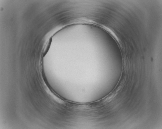 X0000060581387200511241330