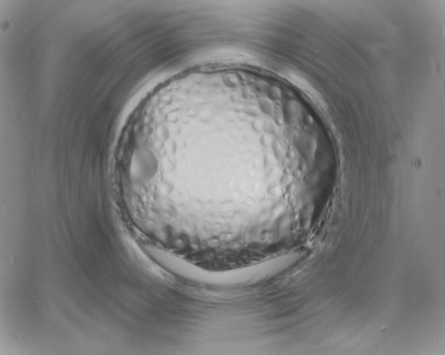 X0000060581392200511241330