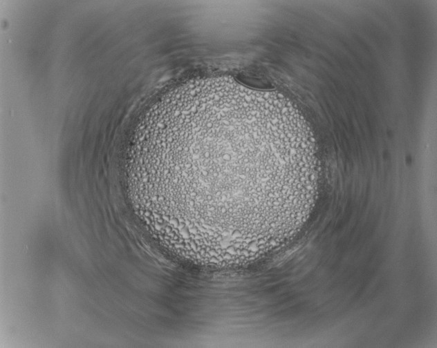 X0000060581393200511241329