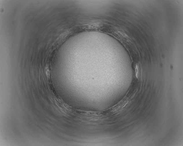 X0000060581395200511241329