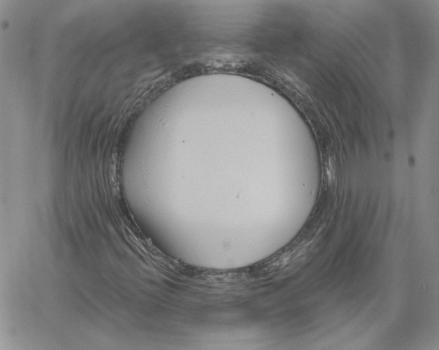 X0000060581396200511241329