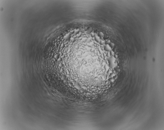 X0000060581397200511241329