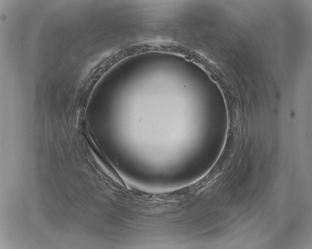 X0000060581398200511241329