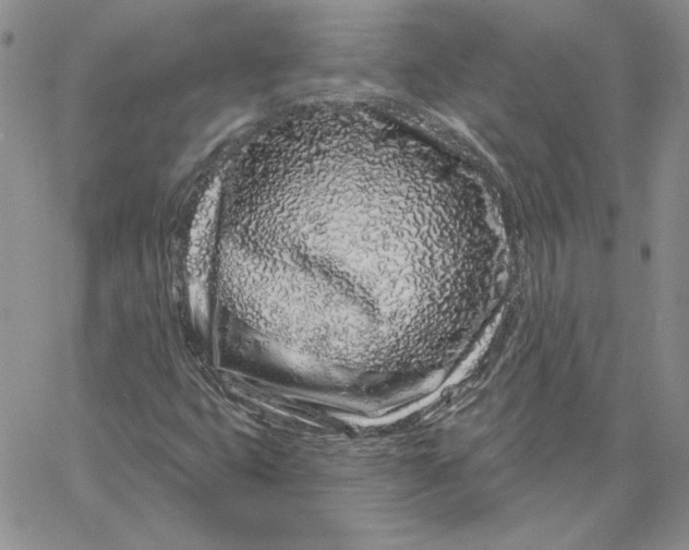 X0000060581399200511241329