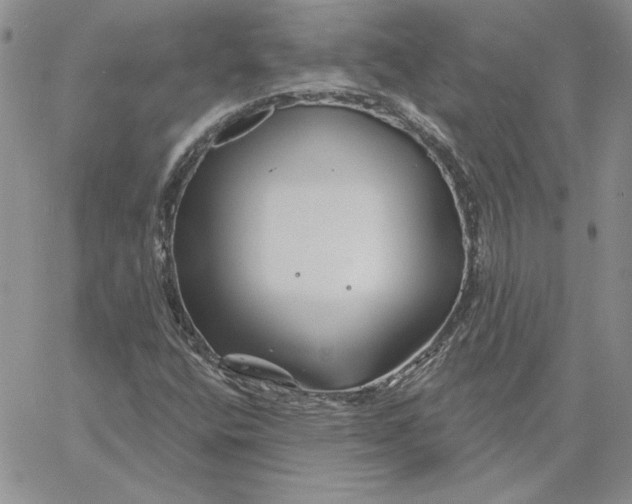 X0000060581400200511241329