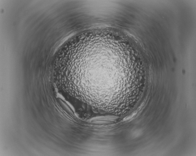 X0000060581401200511241329