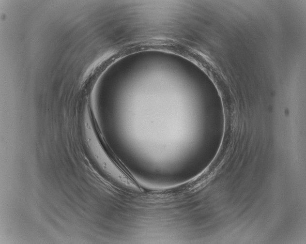 X0000060581402200511241329