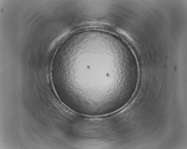 X0000060581403200511241329