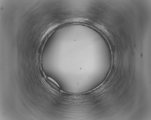 X0000060581404200511241329