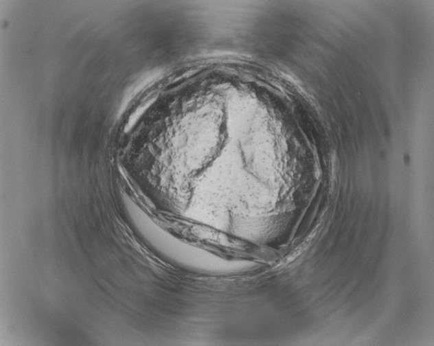 X0000060581405200511241329