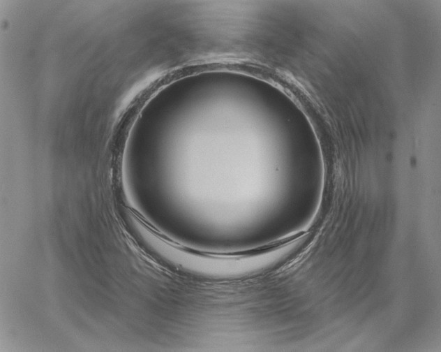 X0000060581406200511241329