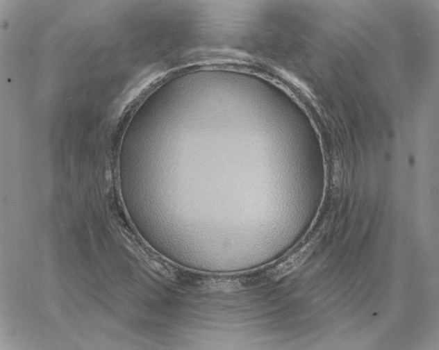 X0000060581407200511241330