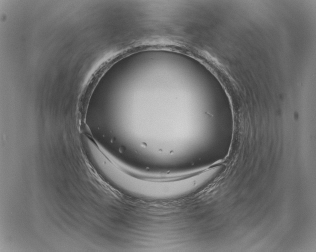 X0000060581408200511241330