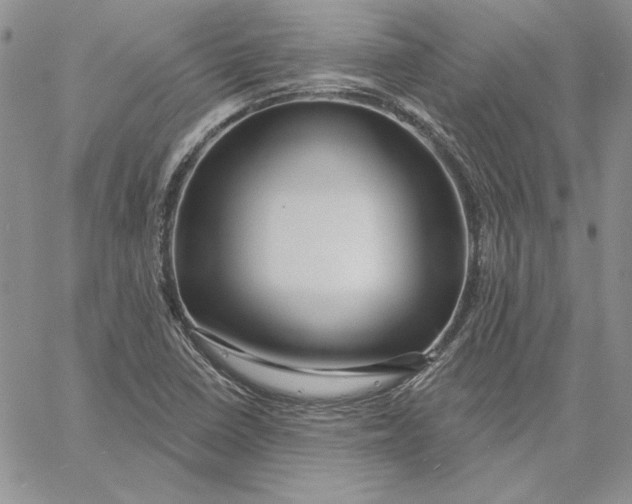 X0000060581410200511241330