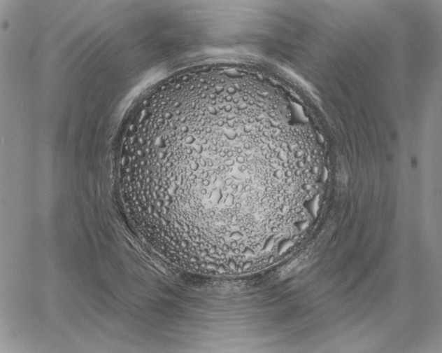 X0000060581411200511241330