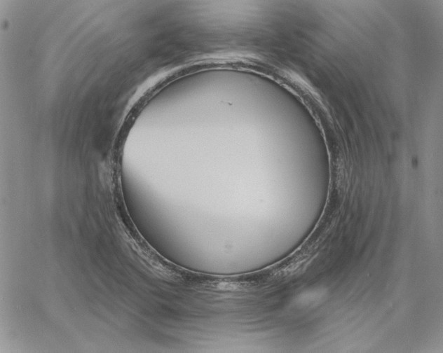 X0000060581412200511241330