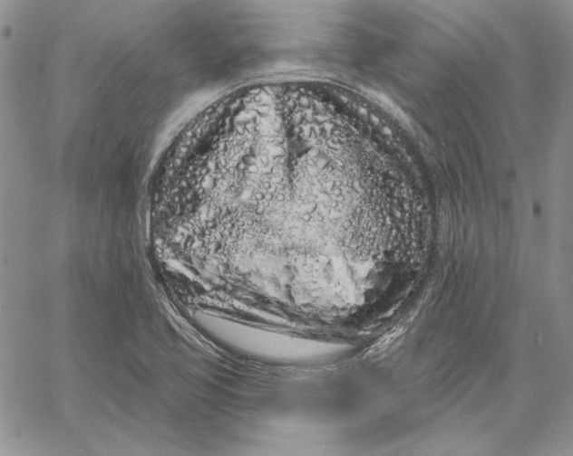 X0000060581413200511241330