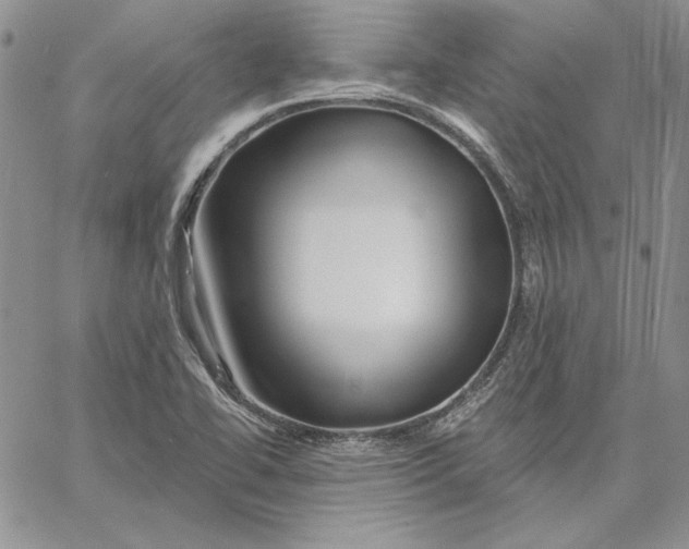 X0000060581414200511241330