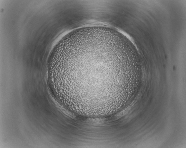 X0000060581415200511241330