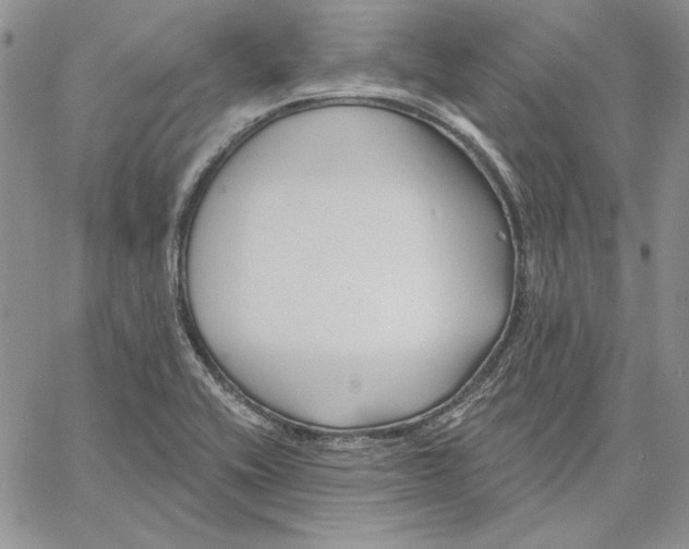 X0000060581416200511241330