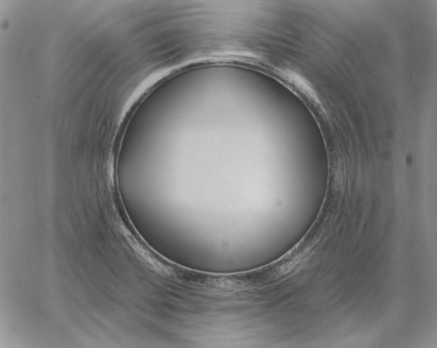 X0000060581420200511241330