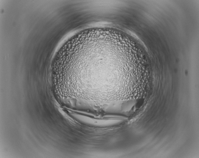 X0000060581421200511241330