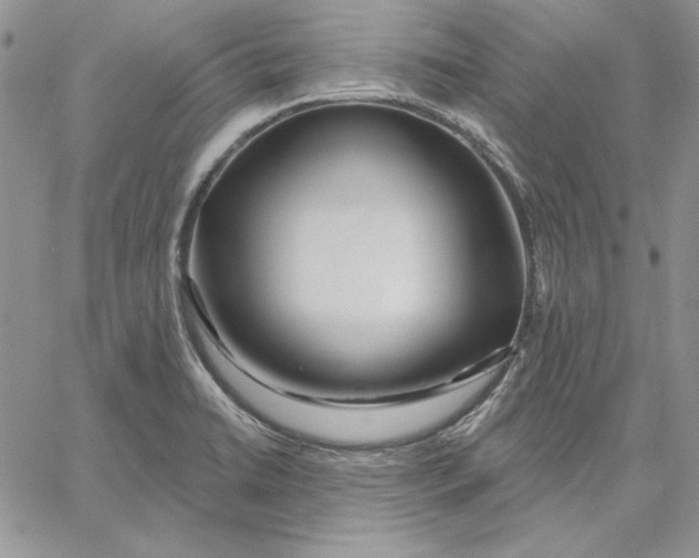 X0000060581422200511241330