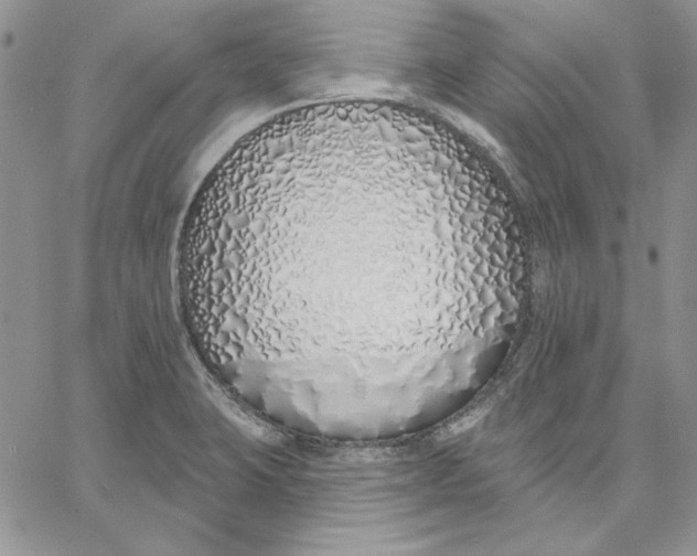 X0000060581423200511241330