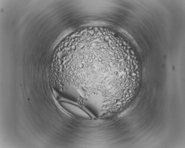 X0000060581425200511241330