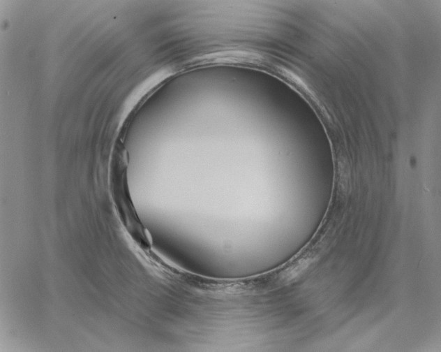 X0000060581426200511241330