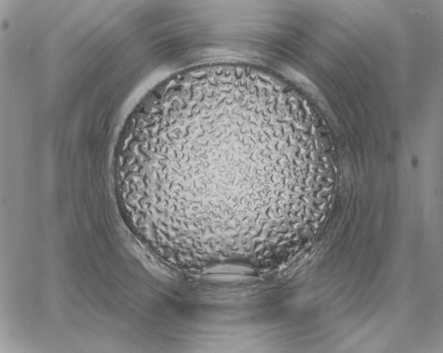 X0000060581427200511241330