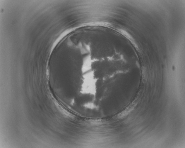 X0000060581428200511241330