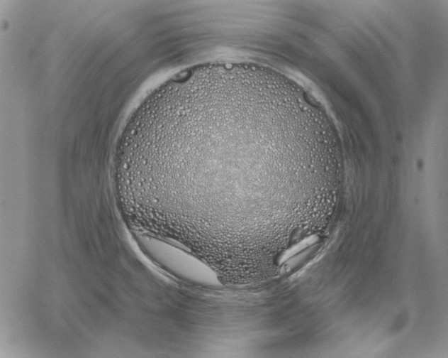 X0000060581429200511241330