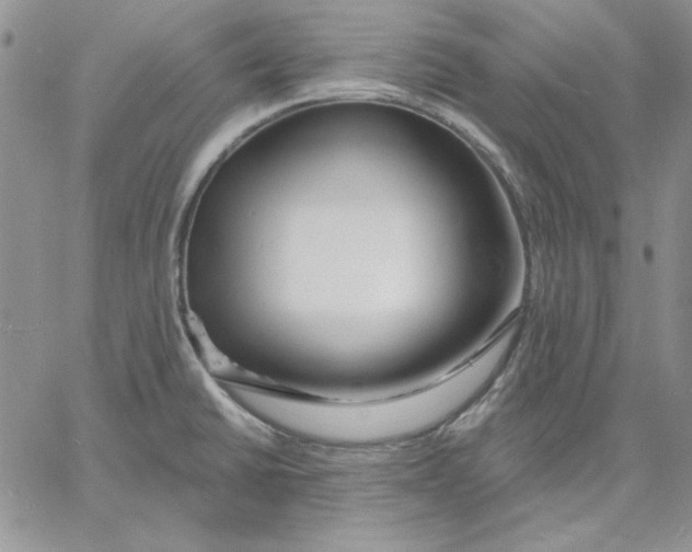 X0000060581430200511241330