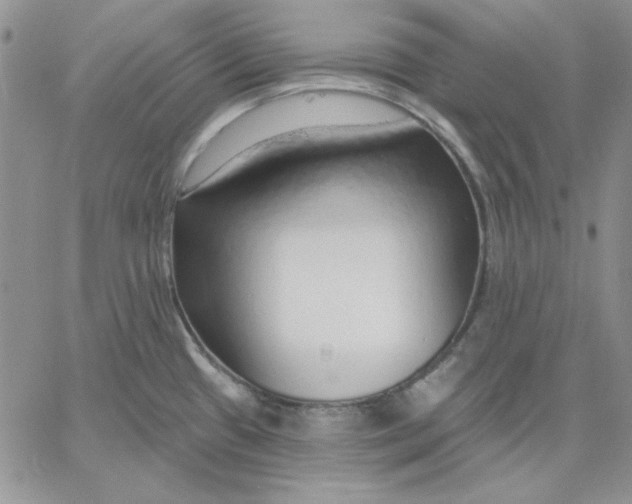 X0000060581433200511241330