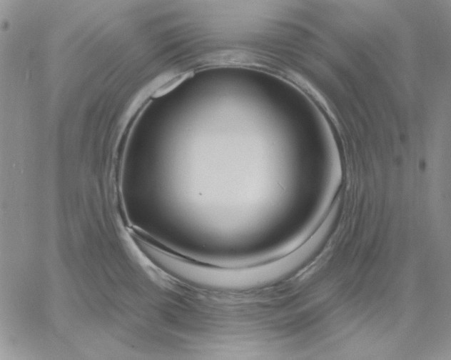 X0000060581434200511241330