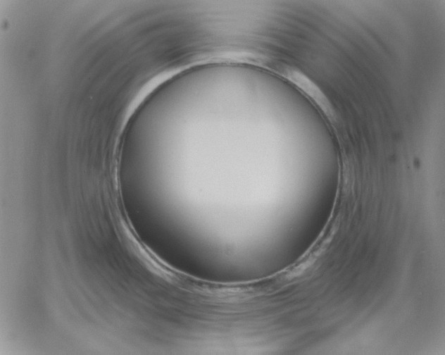 X0000060581436200511241330