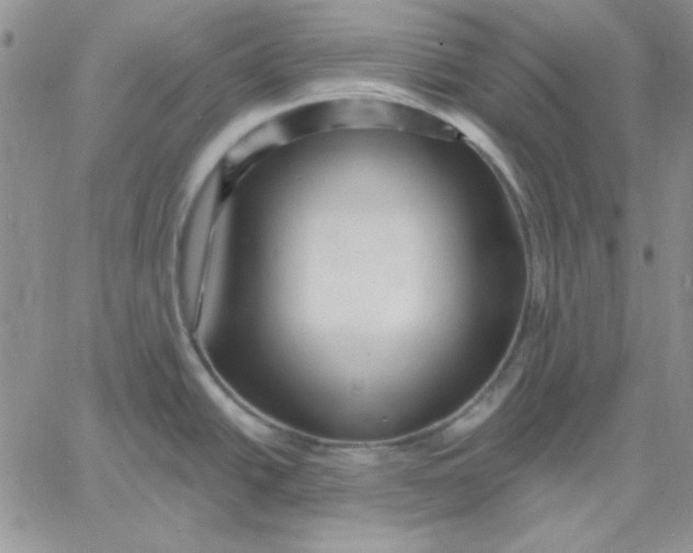 X0000060581438200511241330