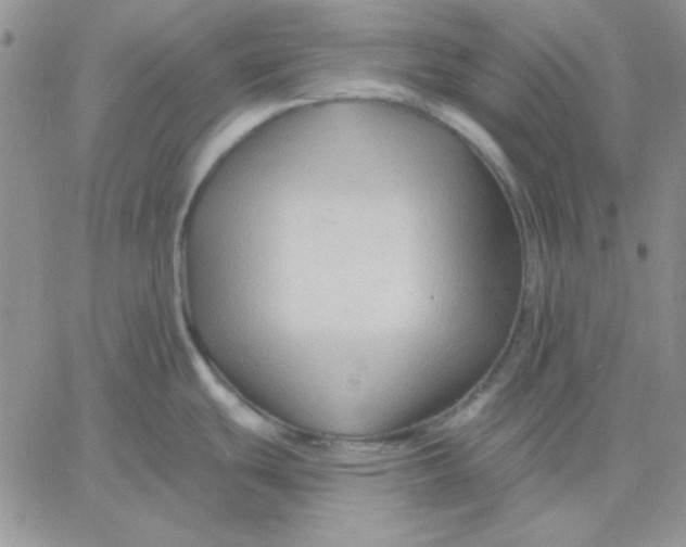 X0000060581439200511241330