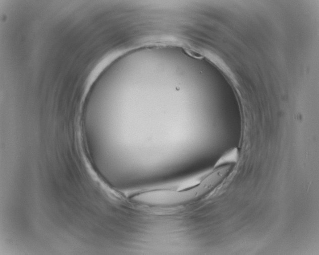 X0000060581440200511241330