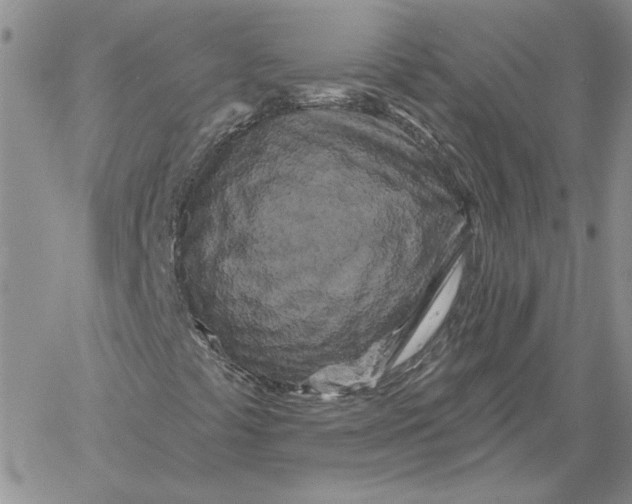 X0000060581441200511241329