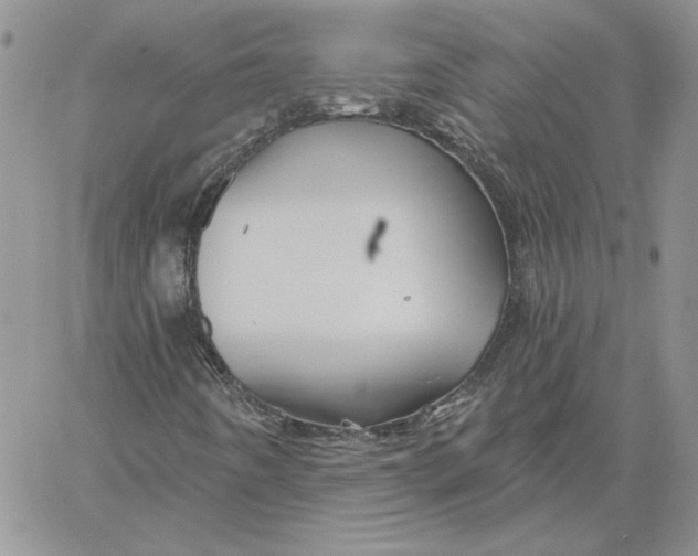 X0000060581442200511241329