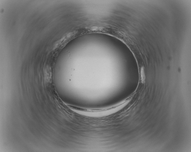 X0000060581443200511241329