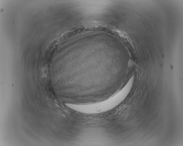 X0000060581445200511241329