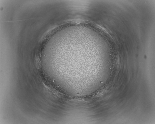 X0000060581446200511241329