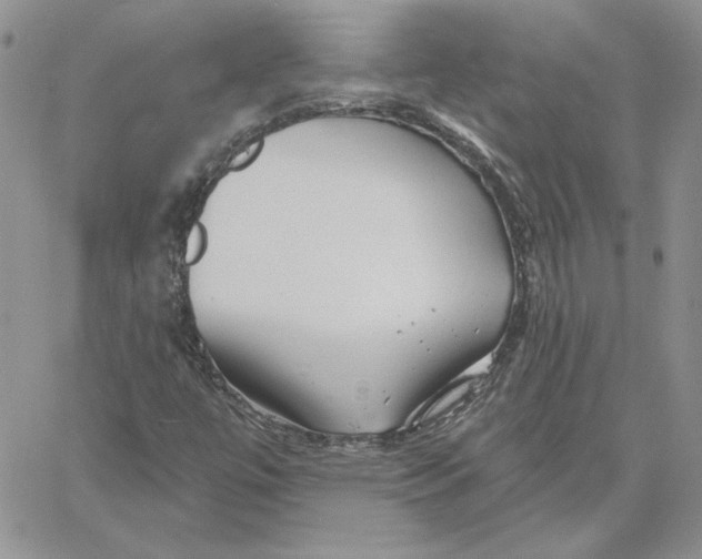 X0000060581447200511241329