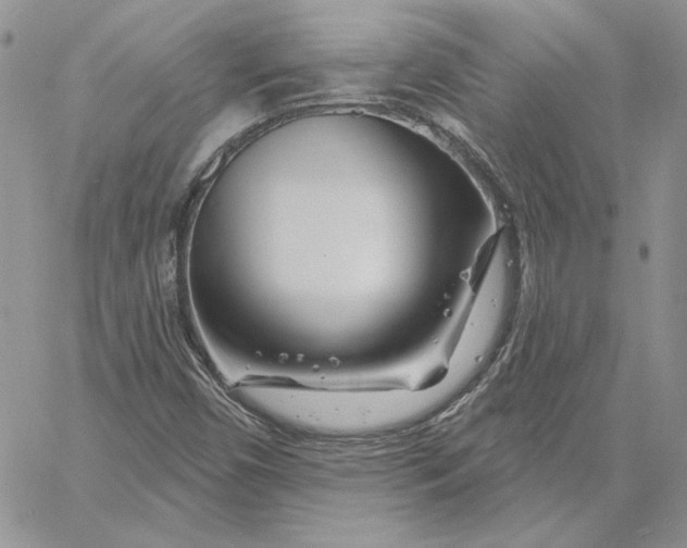 X0000060581450200511241329